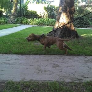 Meet your Posher, Armando